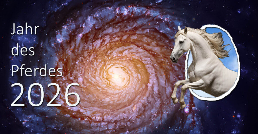 das Pferd transzendiert